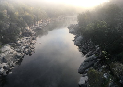 Bild des  Rio Mondego im Nebel